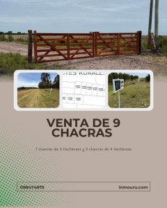 Venta de 9 chacras 