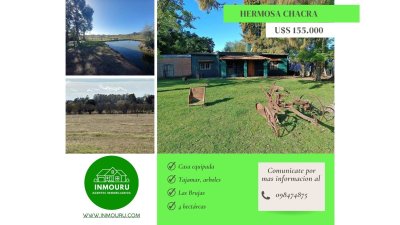 Venta de 4 Has en Las Brujas 