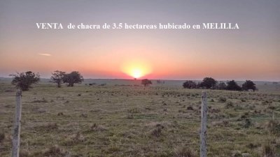 VENTA de chacra de 3.4 hectáreas en MELILLA 