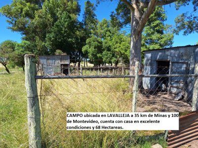 VENTA de campo en MINAS (Lavalleja)