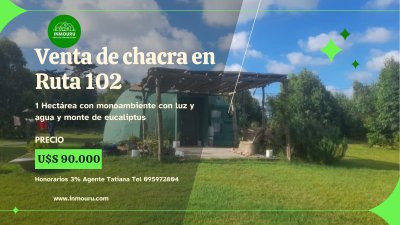 Venta de chacra en Colonia Nicolich