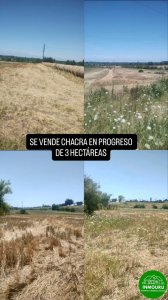 SE VENDE CHACRA EN ZONA CANELONES- PROGRESO