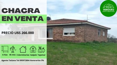 Venta de Chacra de 6 hectareas