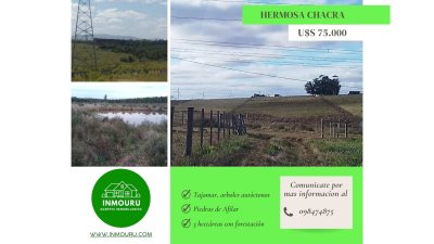 Venta chacra de 3 Has