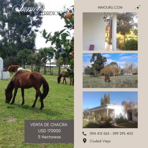 VENTA de chacra de 5 Hectáreas en CANELON CHICO