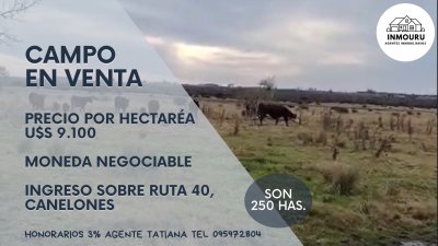 Venta de Campo cerca de Piedritas