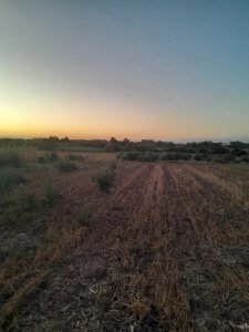 Venta de campo 4 y un cuarto de hectáreas en paso de la arena 