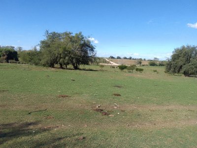 Venta de chacra 33 hás y vivienda, Paysandú