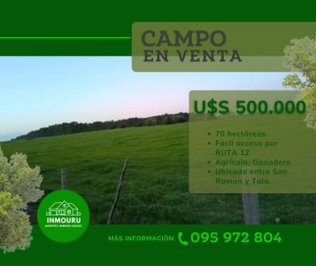 Venta de Campo por RUTA 12