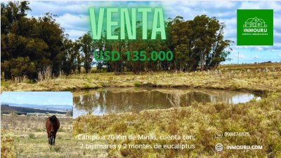 Venta campo en Minas