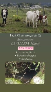 VENTA de campo en LAVALLEJA (Minas)