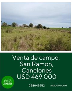 Venta de campo de 70 hectareas