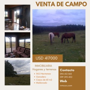 VENTA de CAMPO de 34,5 ha en MALDONADO