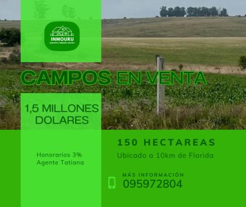Venta de campos en Paraje La Pedrera