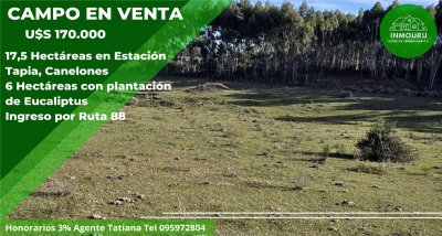 Venta de Campo en Estación Tapia