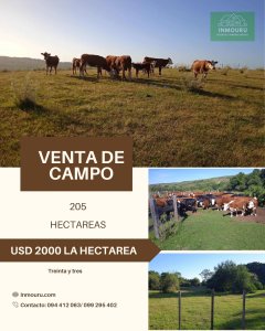 VENTA de campo ubicado en TREINTA Y TRES