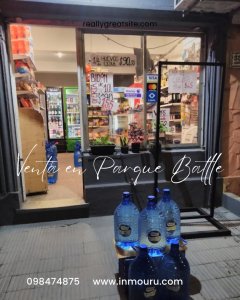 Venta de minimarket en Parque Batlle