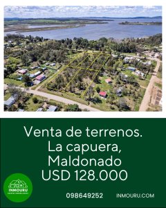 Venta de lote de 4 terrenos en La Capuera