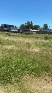 Venta terreno en San Luis