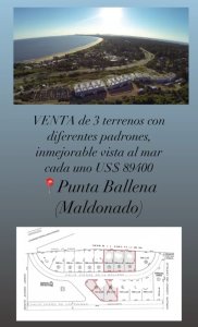 VENTA de 3 terrenos con padrones independientes en PUNTA BALLENA (Maldonado)