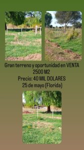 VENTA de terreno en 25 de mayo (Florida)