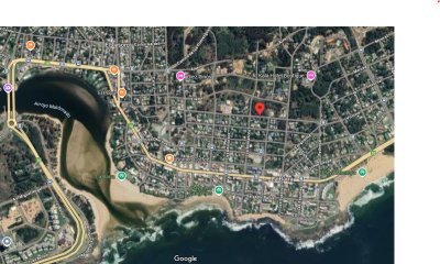 Gran lote arbolado en venta