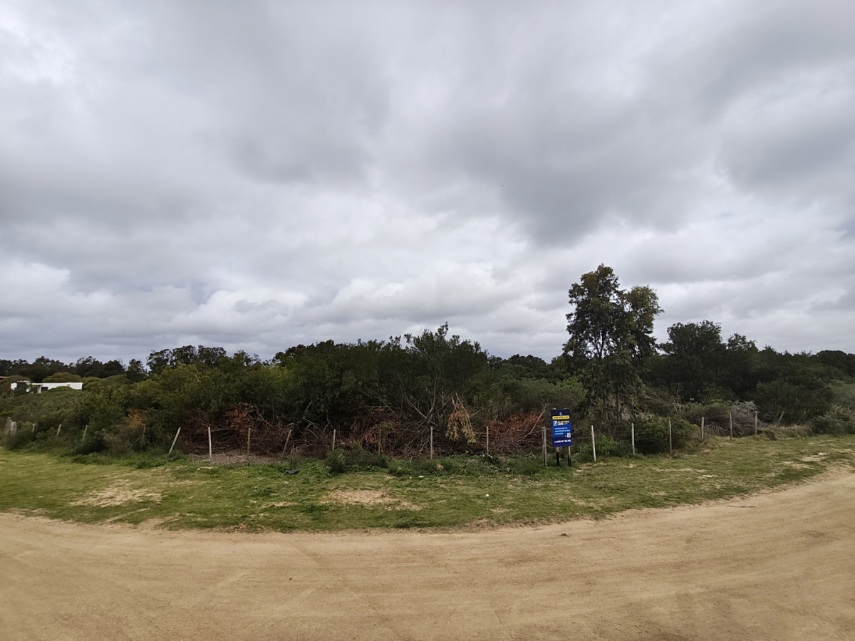 Gran terreno en venta. Sauce de Portezuelo, Punta Ballena.