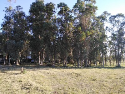 Chacra en venta Canelones a 6 km de sauce 6 hectáreas