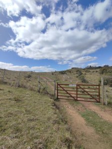 chacra de 5 has en Lavalleja