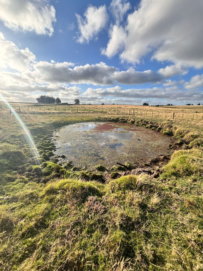 Campo en José Ignacio: OPORTUNIDAD única