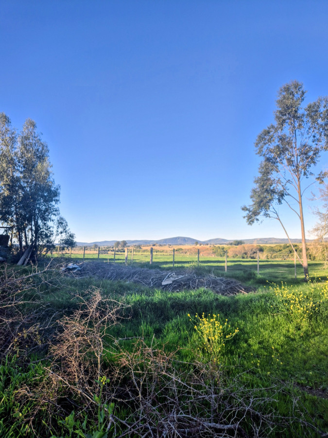 Hermosa vista 