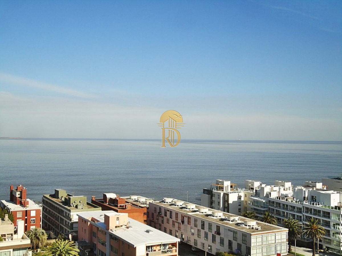 frente al puerto de punta del este -id-181