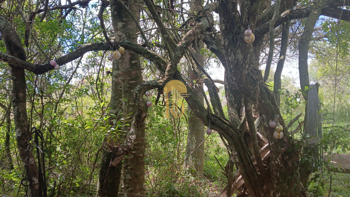 ALQUILER CHACRA PARAISO ESCONDIDO  -id-364-3