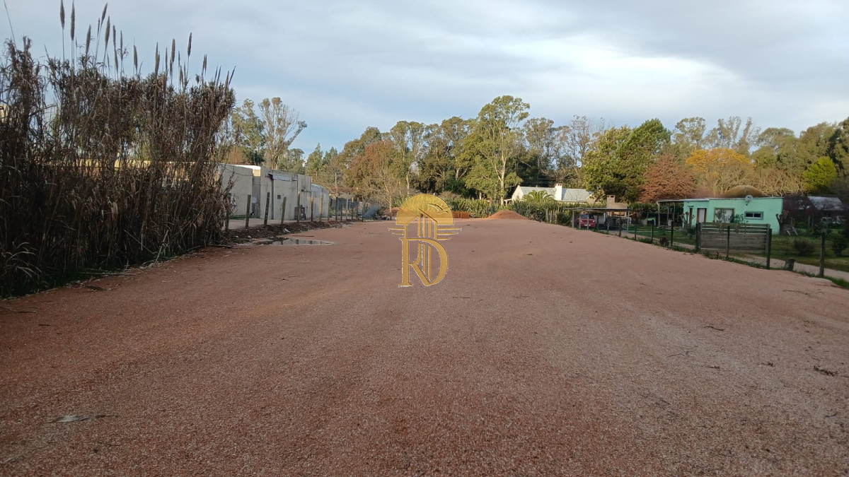 TERRENO EN VENTA  -id-203-0