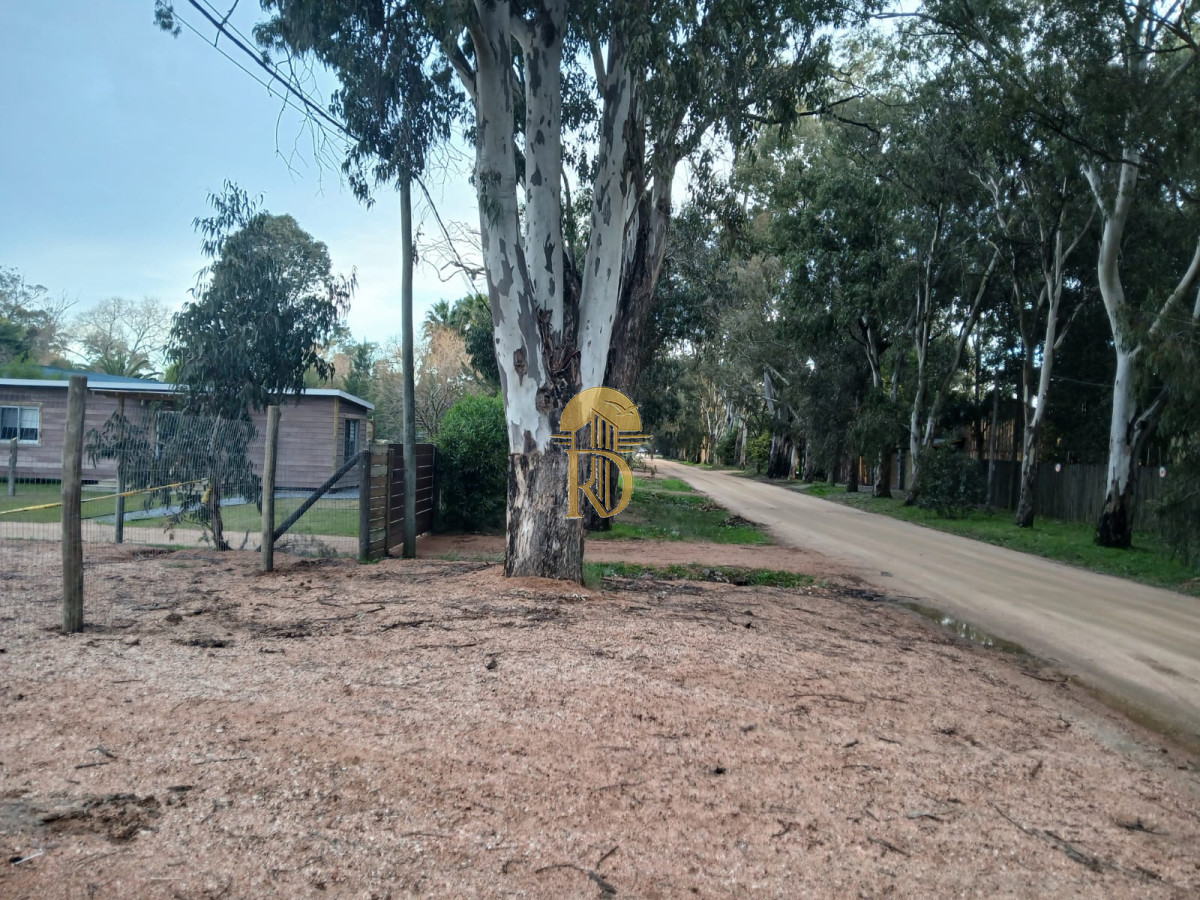 TERRENO EN VENTA  -id-203-6