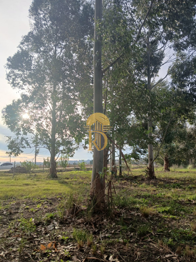 TERRENO MIRAMAR ACRES  -id-202-3