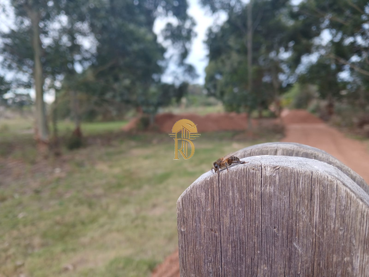 TERRENO MIRAMAR ACRES  -id-202-7