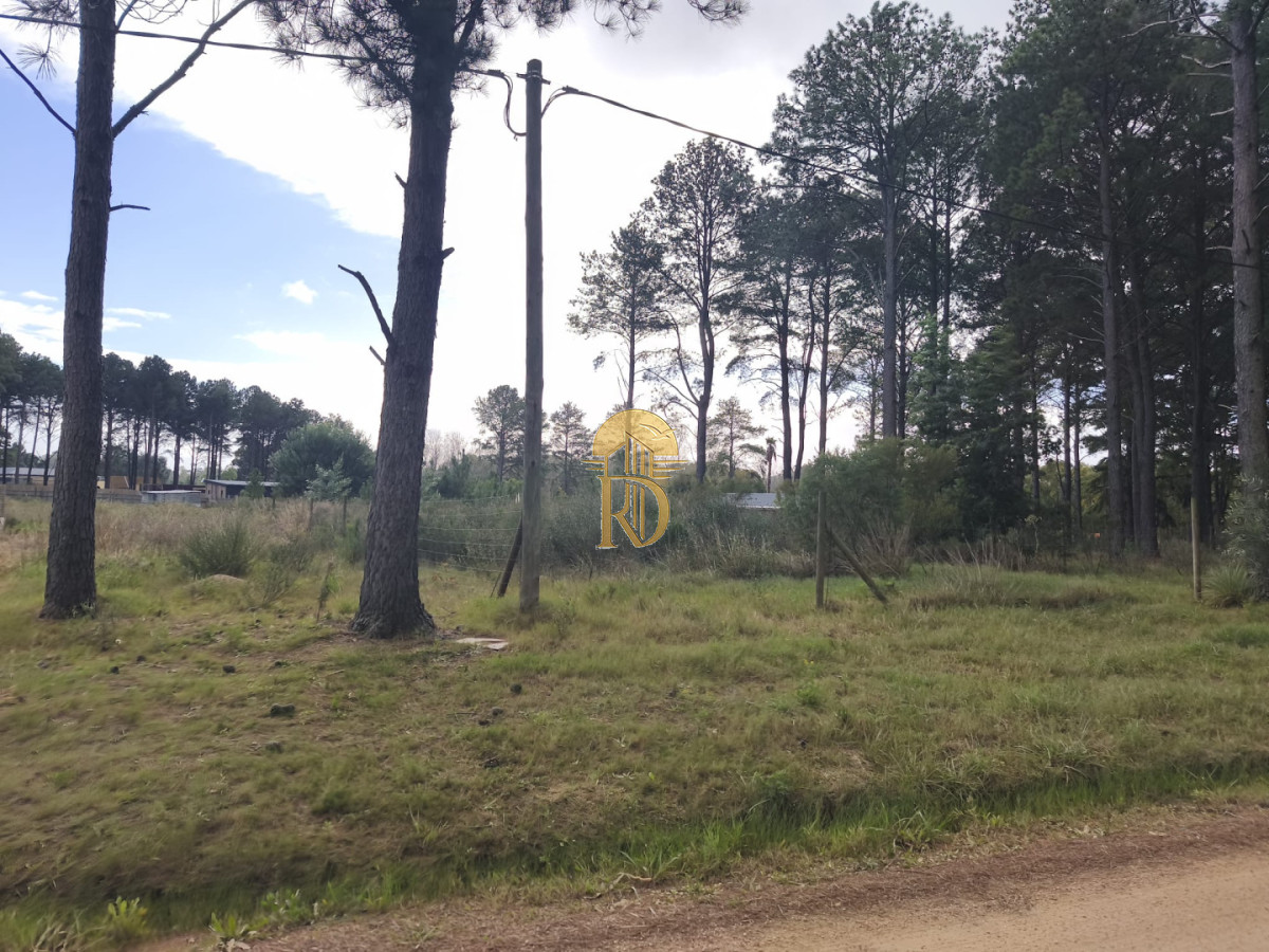Terreno en venta Chacras del pinar Maldonado  -id-849-2