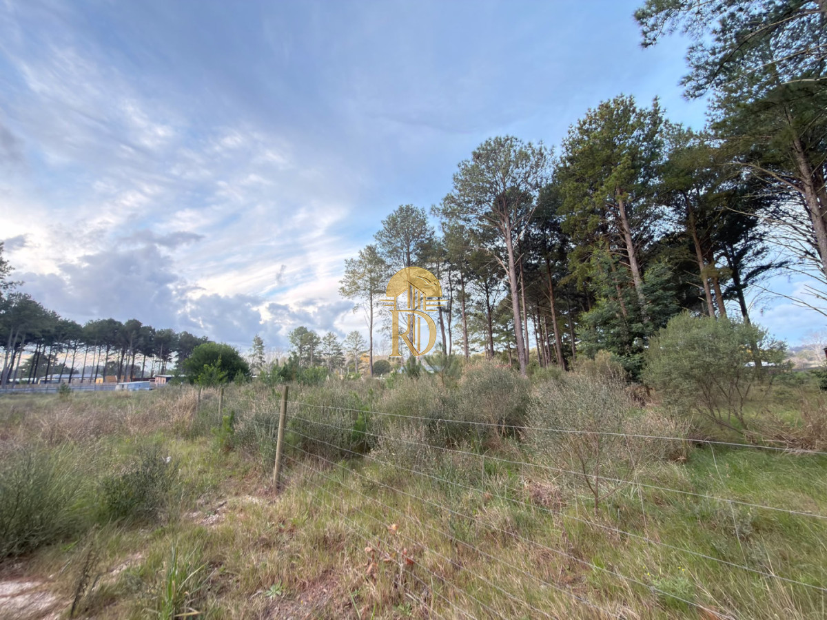 Terreno en venta Chacras del pinar Maldonado  -id-849-1