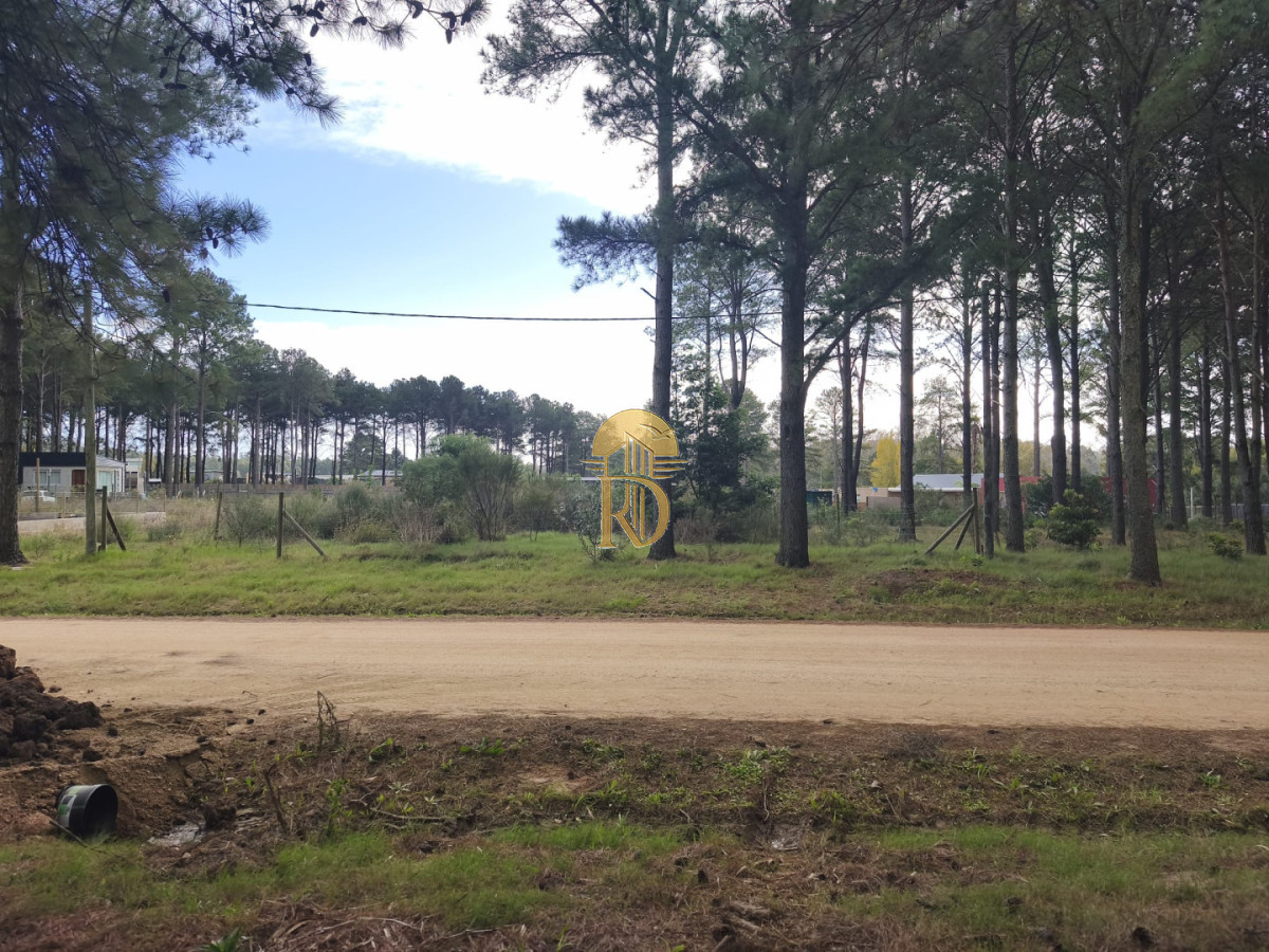 Terreno en venta Chacras del pinar Maldonado  -id-849-1
