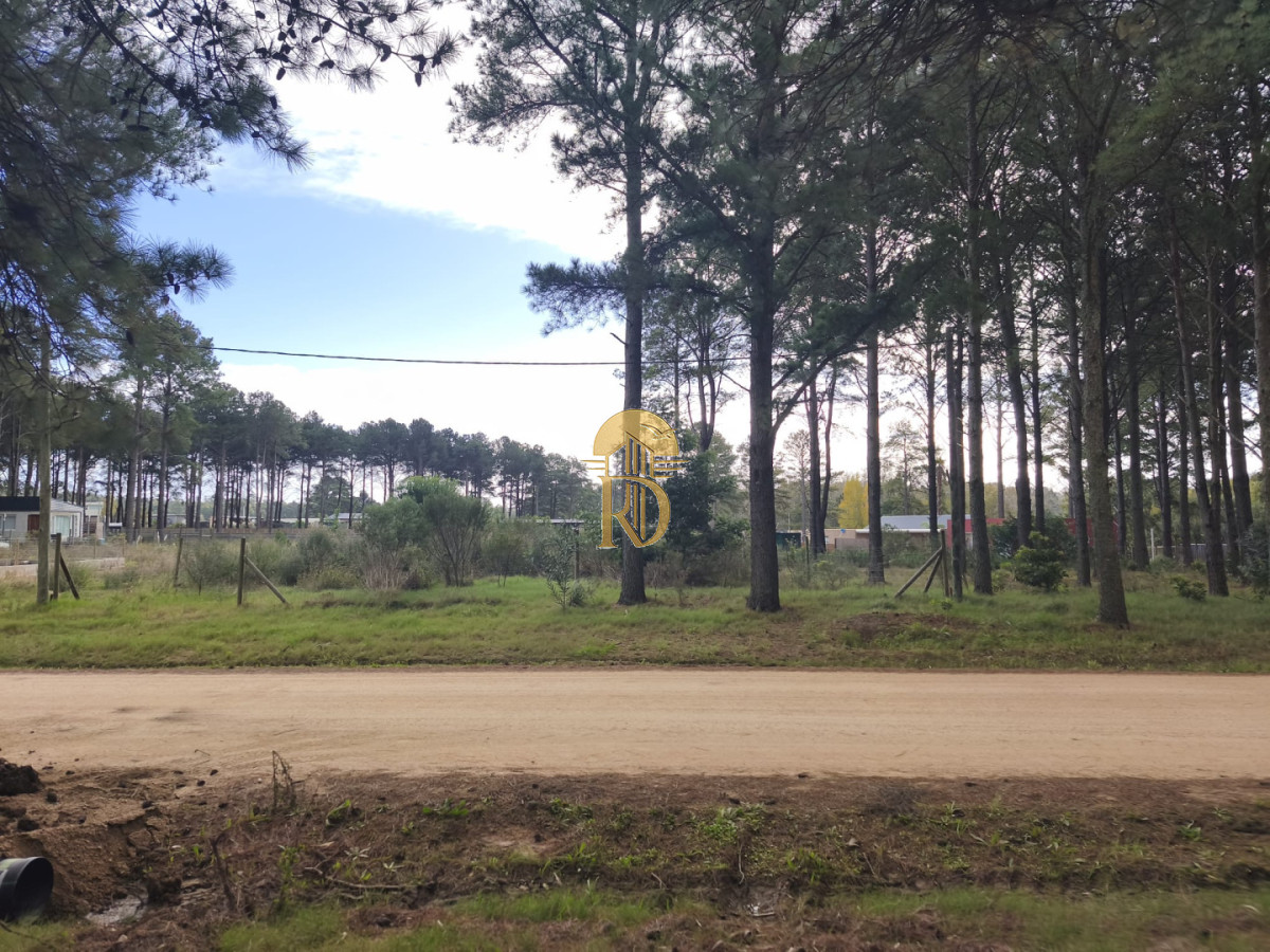 Terreno en venta Chacras del pinar Maldonado  -id-849-4