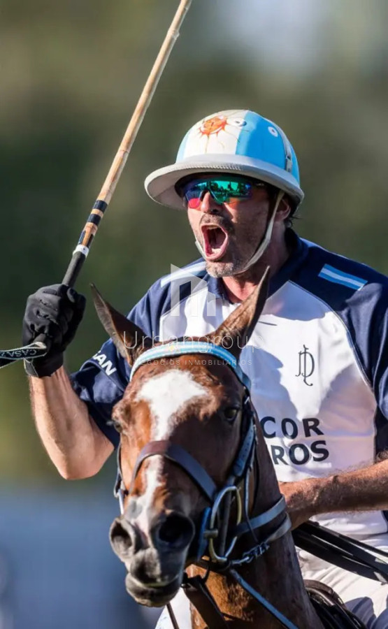 LA DOLFINA 5
