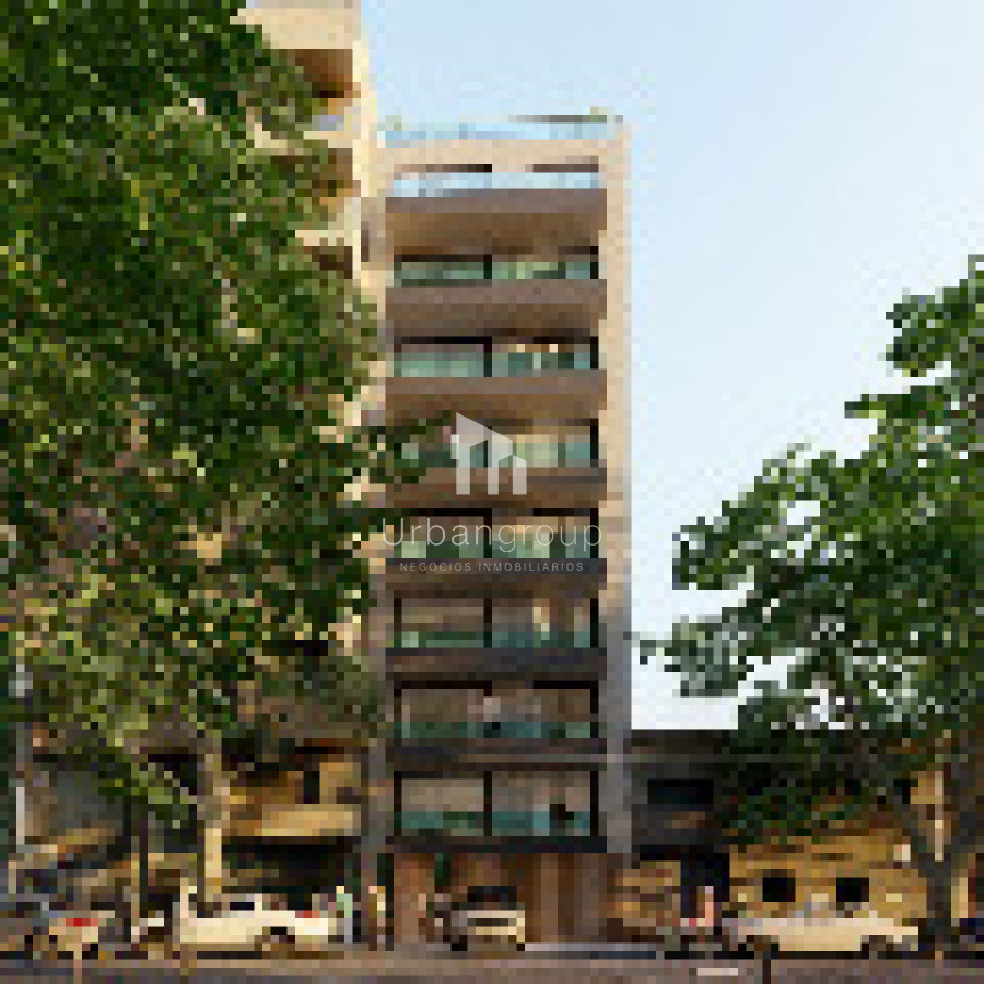 GÉNOVA I - OLIVA STUDIO 5