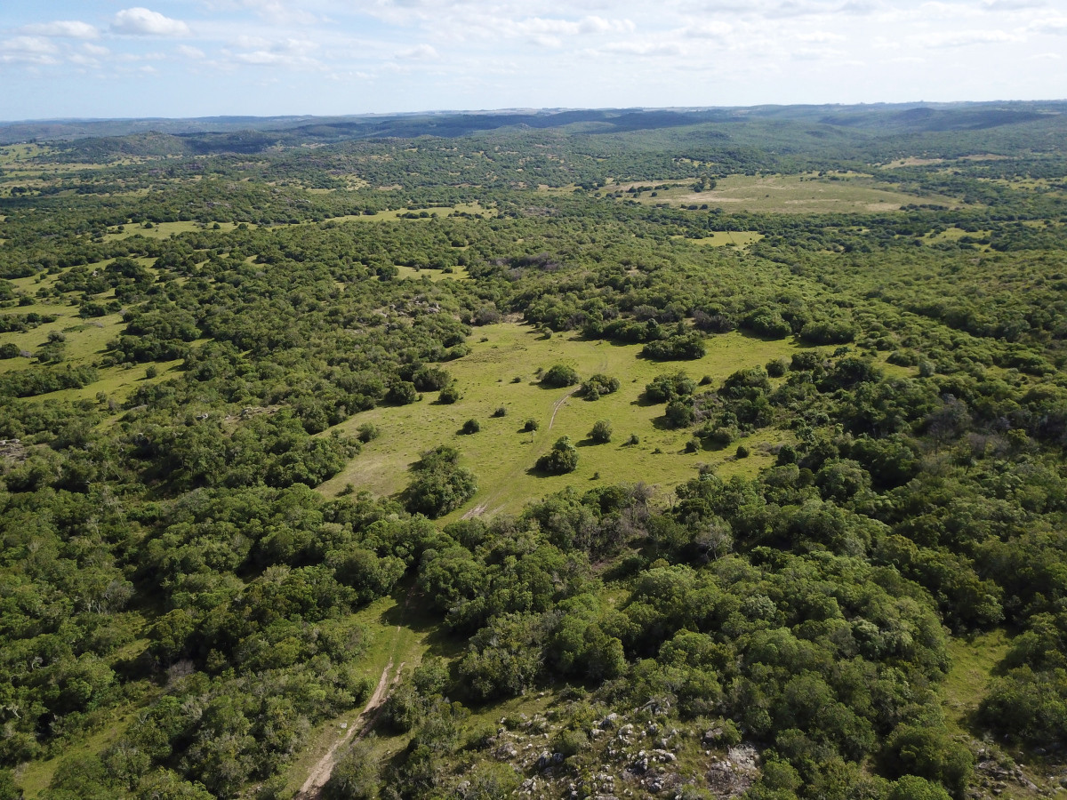 Imagen de Sierras de Lavalleja | Polanco | Campo en venta | 1.033 hectáreas
