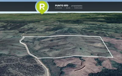 Ubicado en la zona de Garzon a pocos kilómetros de la ruta 9 y de Rocha