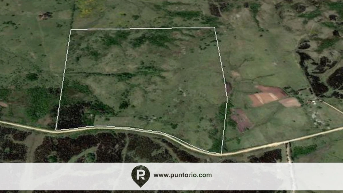 Campo en La Paloma