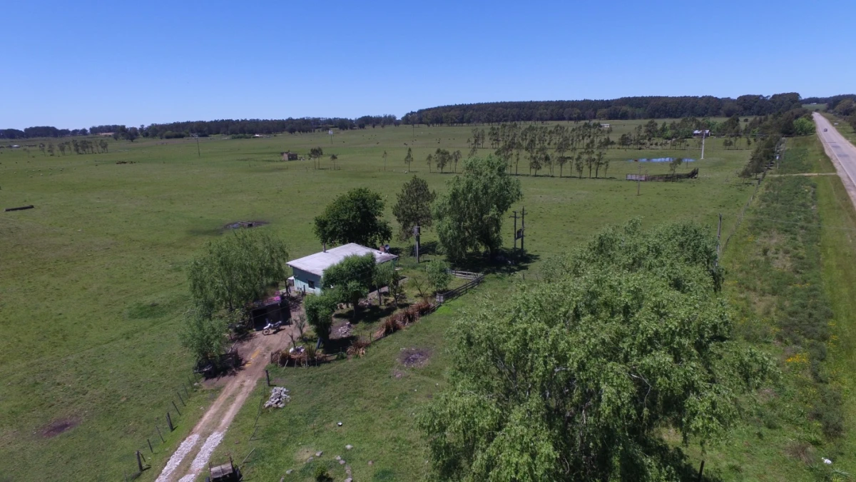 Campo en La Paloma