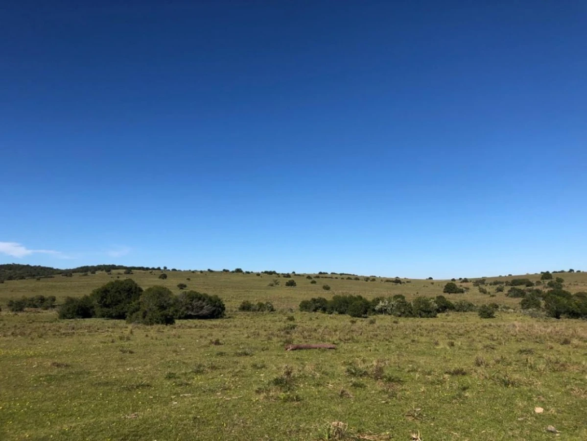 Campo en La Paloma