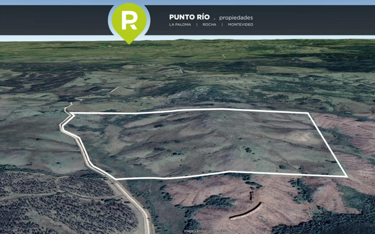Campo en La Paloma