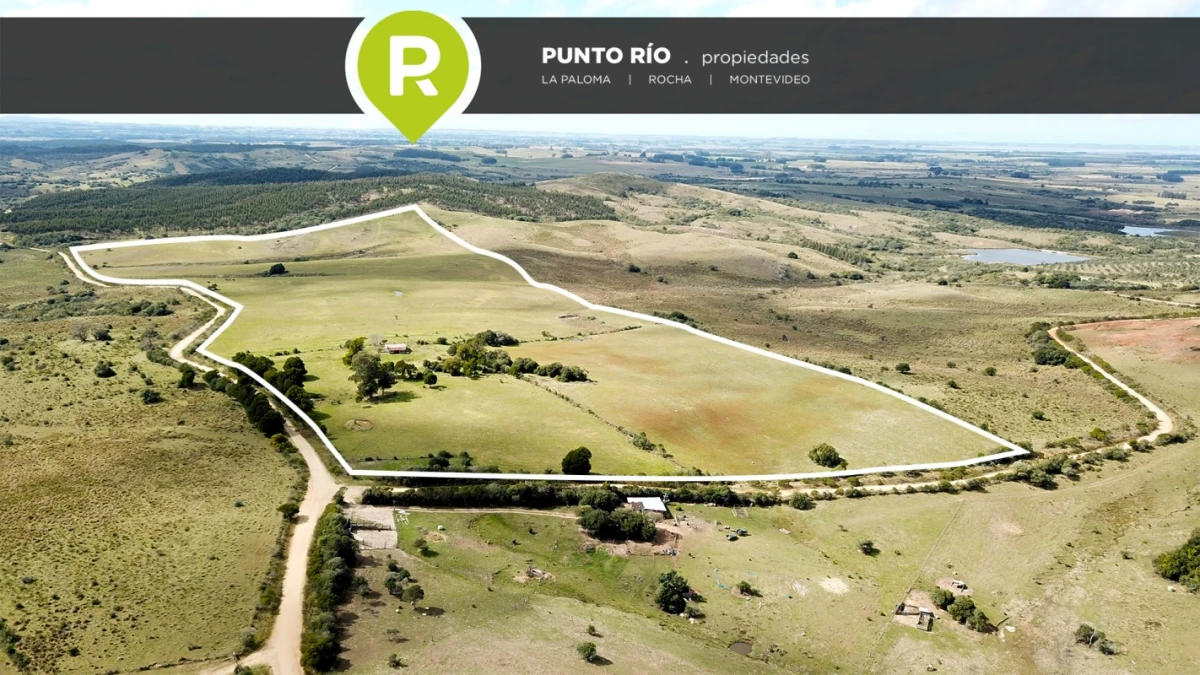 Campo en La Paloma